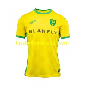 Fußballtrikots Norwich City 2024-2025 Kurzarm Heimtrikotsatz kaufen